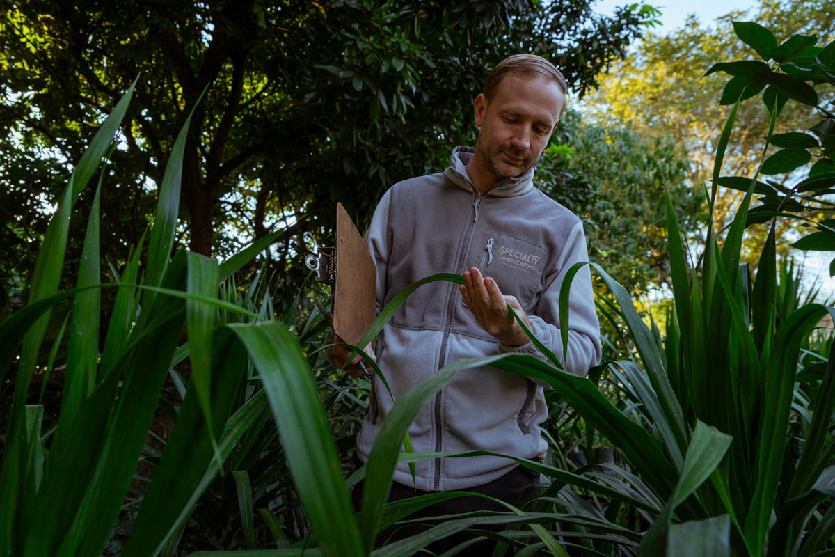 Specialty_1200x800px__19