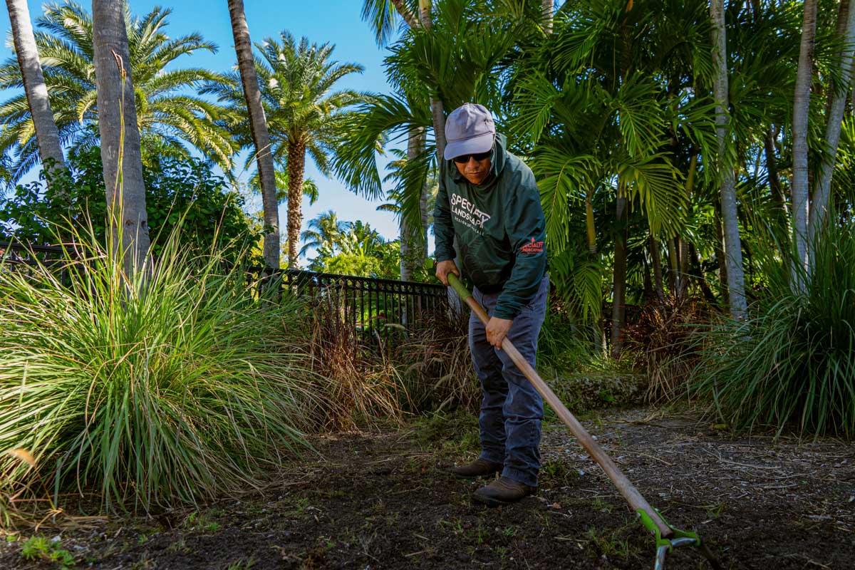 Specialty_1200x800px__31